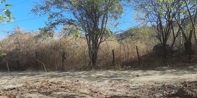 Campesinos de El Mosquito piden más vigilancia (2)