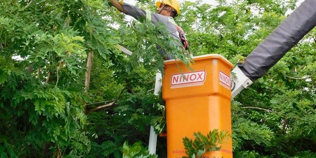 Comunidad cuestiona a Essmar en materia de alumbrado público (1)