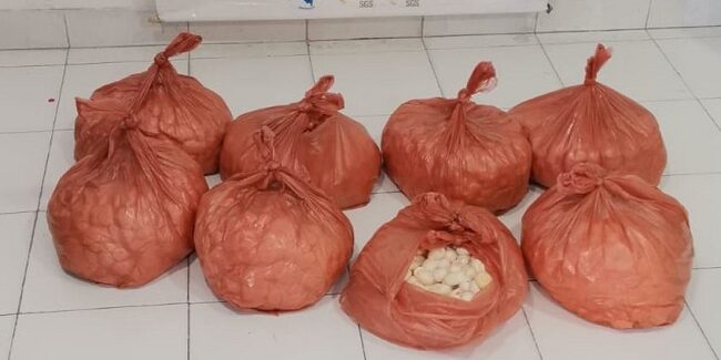 Policía y Corpamag decomisaron 4.500 huevos de iguana que iban a ser comercializado (2)