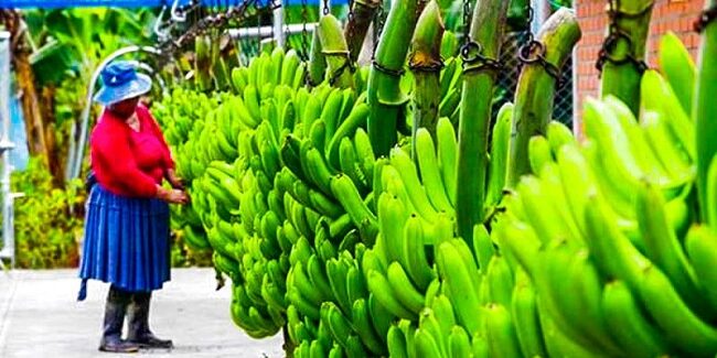 Uniban Fundacion hizo entrega de obras de mantenimiento