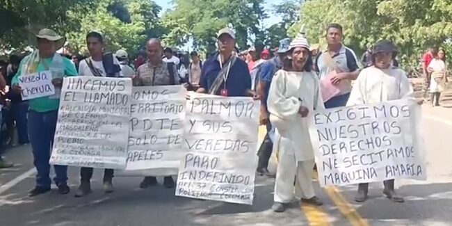 Campesinos de la Sierra Nevada bloquearon la Troncal del Oriente