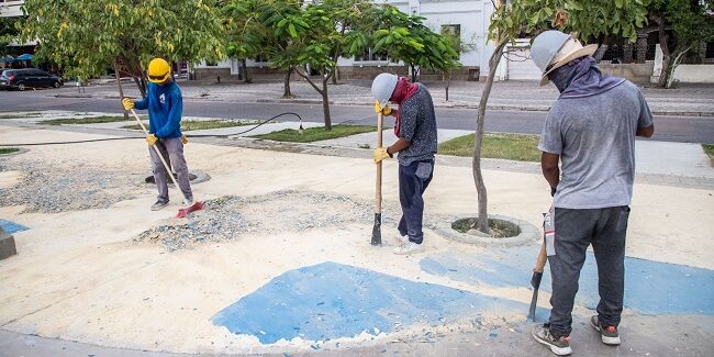 Con dos frentes de trabajo continúa el mantenimiento del Camellón de la Bahí (2)