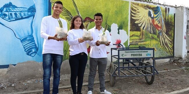 Emprender enseñando a cuidar el medio ambiente (2)