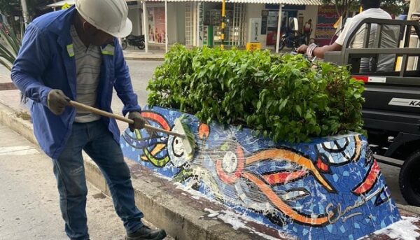 Se inició el mantenimiento y recuperación de jardineras y parques de Santa Marta (2)
