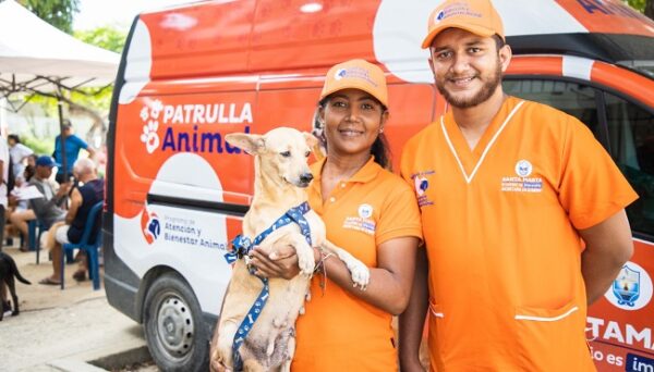 Se reactivan las jornadas gratuitas de esterilizaciones caninas y felinas (1)
