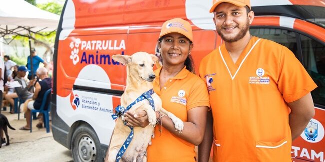 Se reactivan las jornadas gratuitas de esterilizaciones caninas y felinas (1)