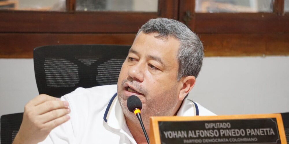 diputado de la asamblea