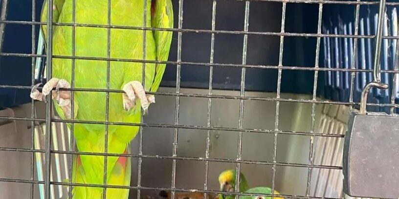 WhatsApp Image 2024-02-21 at 7.53.39 PM