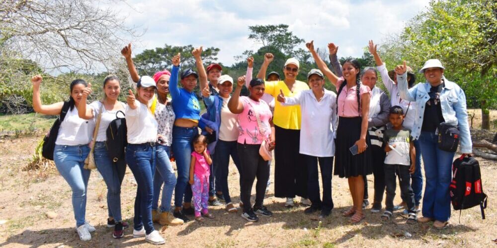 WhatsApp Image 2024-02-24 at 2.08.29 PM