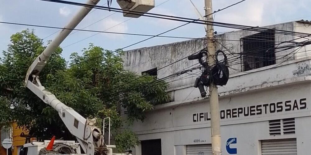 WhatsApp Image 2024-03-04 at 2.08.25 PM