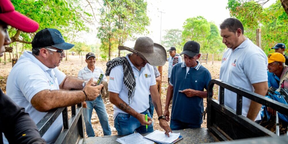 WhatsApp Image 2024-03-11 at 4.29.10 PM