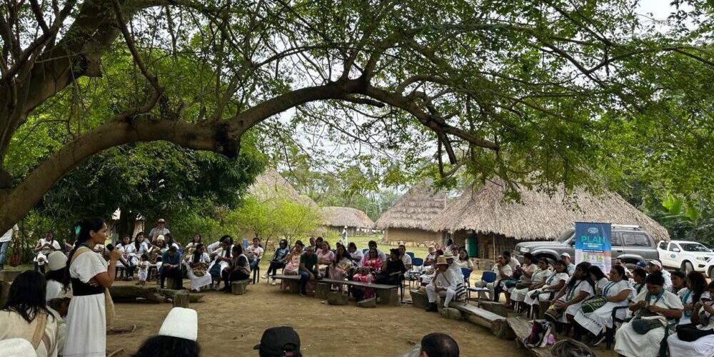 WhatsApp Image 2024-03-11 at 7.07.05 PM