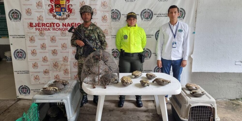 WhatsApp Image 2024-03-22 at 2.34.09 PM