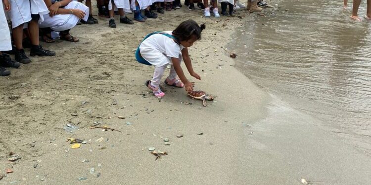 WhatsApp Image 2024-06-07 at 4.39.18 PM