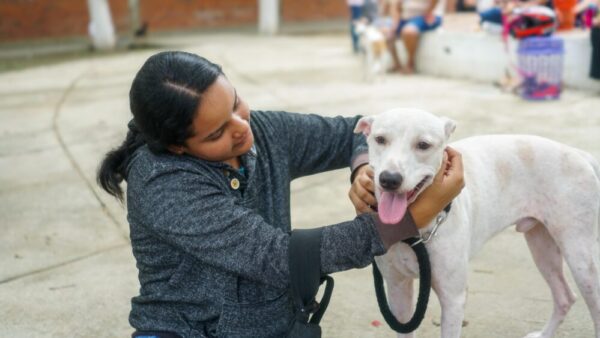 WhatsApp Image 2024-06-08 at 12.38.45 PM