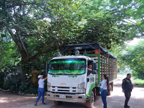 WhatsApp Image 2025-06-20 at 4.45.29 PM