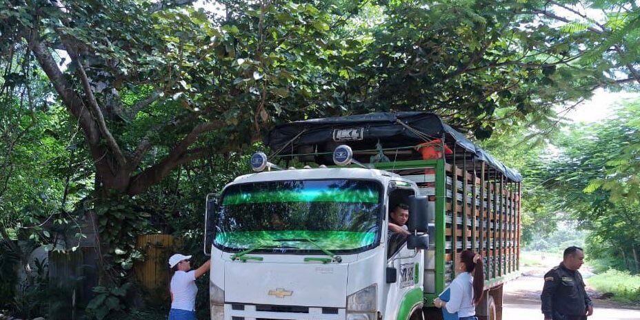 WhatsApp Image 2025-06-20 at 4.45.29 PM