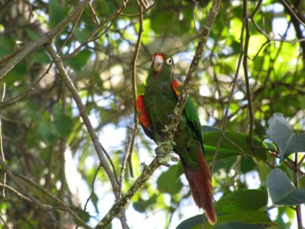 WhatsApp Image 2025-07-08 at 5.27.58 PM