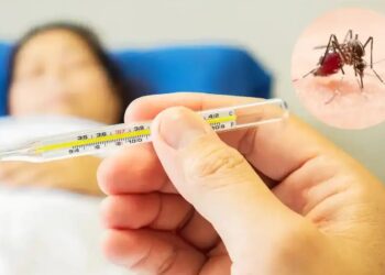 Plan de emergencia en Tenerife ante alarmante brote de dengue