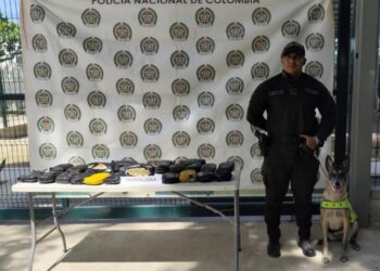 Hallan 13 kilos de marihuana en paquetes de empresa de envíos en Santa Marta