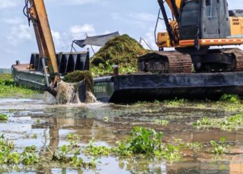 Corpamag culmina plan piloto para controlar la Hydrilla verticillata en la Ciénaga de Pajarales