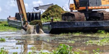 Corpamag culmina plan piloto para controlar la Hydrilla verticillata en la Ciénaga de Pajarales