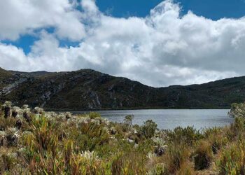 Colombia presentará en la Cumbre Celac–UE la “Plataforma País” para impulsar el desarrollo sostenible