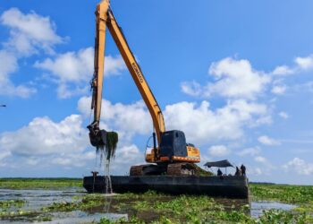 Corpamag finaliza la remoción mecánica de una hectárea de Hydrilla y avanza en la remoción manual en la Ciénaga Grande de Santa Marta