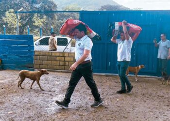 Alcaldía entrega concentrado para más de mil animales en refugios de Santa Marta