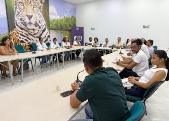 Corpamag y la IED Sagrado Corazón de Jesús presentan proyecto ambiental escolar ante aliados estratégicos