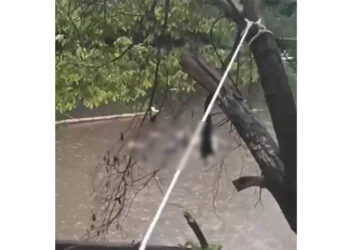 Autoridades investigan hallazgo de un cuerpo en el río Manzanares