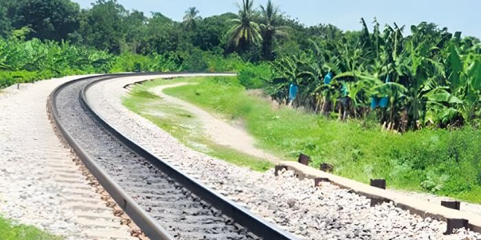 PLANTILLA-NS-2025-12-14T140248.218