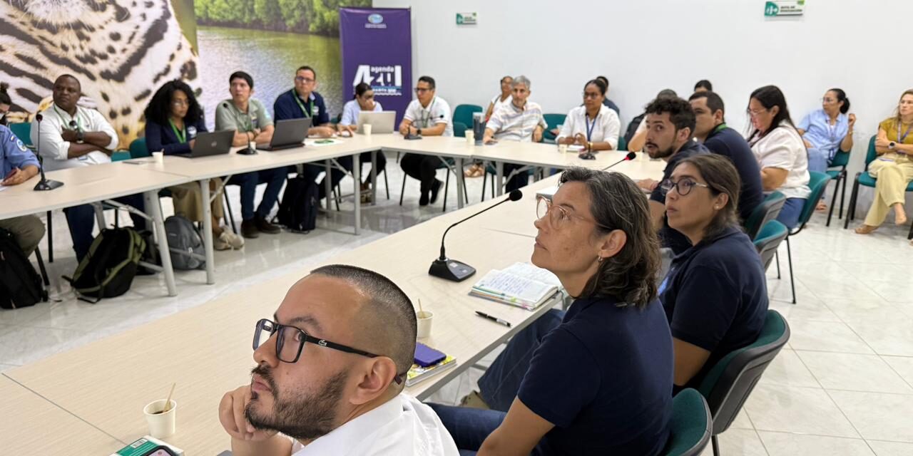 WhatsApp Image 2025-12-03 at 11.32.48