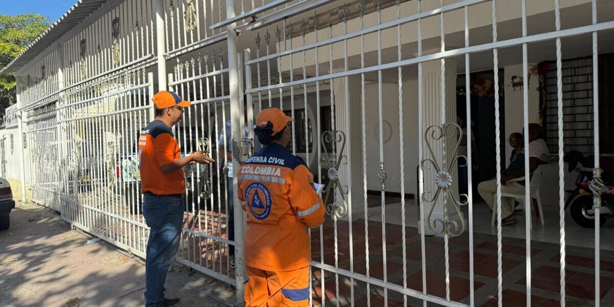 WhatsApp Image 2025-12-19 at 16.15.17