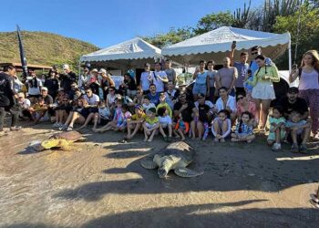 Corpamag atendió más de 3.300 animales silvestres y marinos en 2025