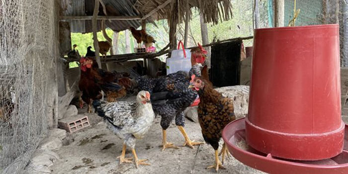 WhatsApp-Image-2026-01-02-at-10.10.10-AM