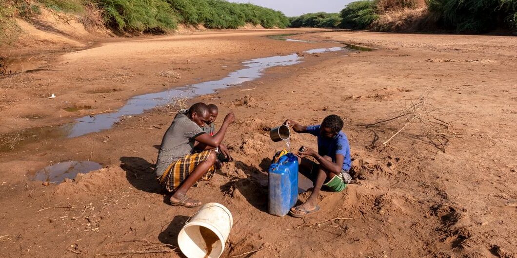 WhatsApp Image 2026-01-21 at 12.12.13 AM