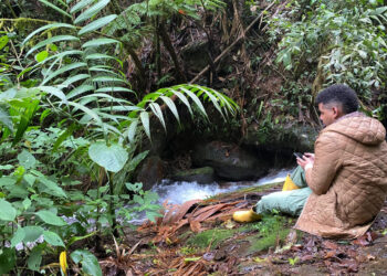 Del aula al mundo: UNIMAGDALENA consolida soberanía científica con impacto internacional