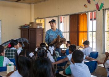 Corpamag y fundación cim caribe realizan liberación de 41 tortugas marinas y jornada de sensibilización en tasajera.