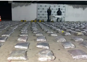 Incautan 730 kilos de marihuana y un arma de fuego en allanamiento en el suroriente de Barranquilla