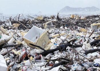 Sigue jornada de limpieza en la Playa de Los Cocos para recuperar el entorno ambiental