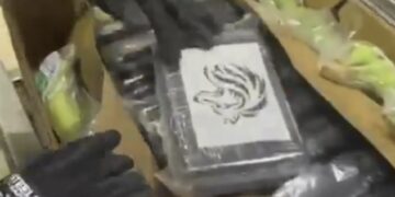 Incautan 441 kilos de cocaína ocultos entre cajas de banano en puerto de Santa Marta