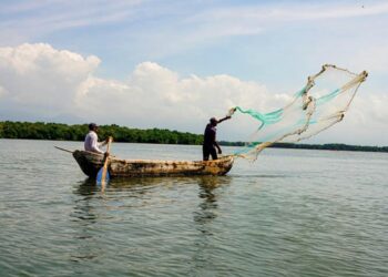 Consejo Nacional de Planeación alerta por crisis ambiental y social en la Ciénaga Grande