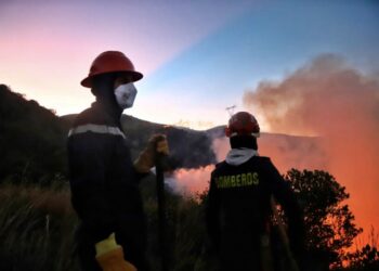 Incendio generó momentos de tensión en la urbanización Tamacá
