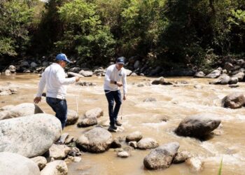 Implementan estrategias para asegurar flujo de agua dulce hacia la Ciénaga Grande