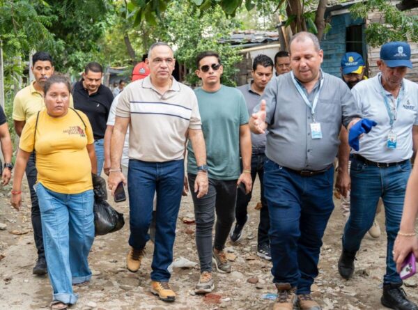 WhatsApp Image 2026-02-14 at 18.49.56