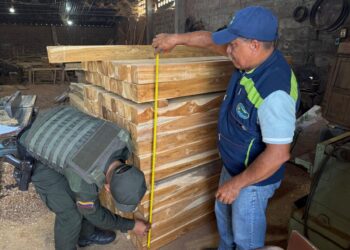 Corpamag participa en el primer operativo nacional del año contra el tráfico ilegal de madera convocado por minambiente