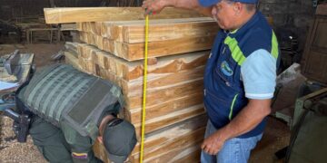 Corpamag participa en el primer operativo nacional del año contra el tráfico ilegal de madera convocado por minambiente