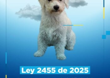 Articulación entre Alcaldía y Policía permite captura en flagrancia de la persona señalada de dar muerte a un animal en Villas de Alejandría