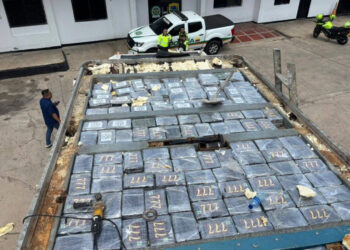 Incautan 259 kilos de cocaína ocultos en furgón que transportaba alimentos